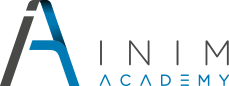 Inim Academy