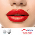 Sistema vocale integrato Marilyn Sistema vocale integrato Marilyn