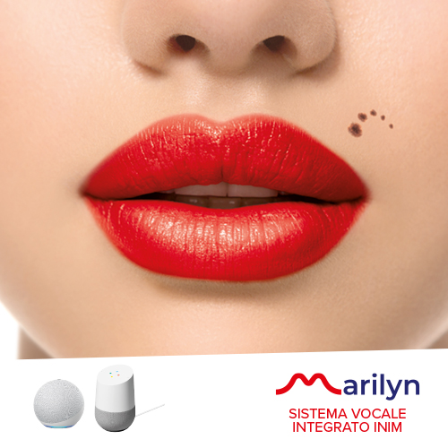 BANNER_MARILYN_500X500PX.jpg